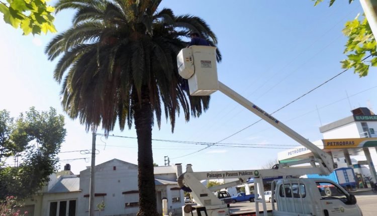 1004e49e-502c-4e35-9a5c-ae649660f12a