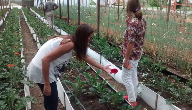 16730204 10211482629638061 2585763945329988254 n