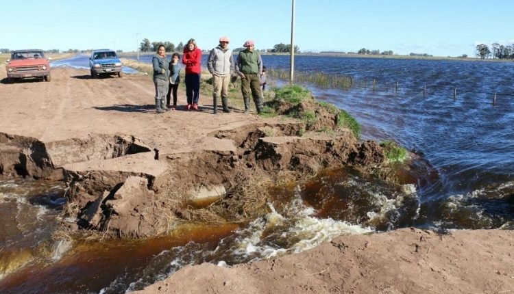 radio one pisano ibarra