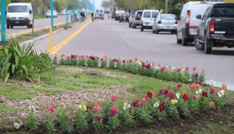 21587179 1862202114095364 6852782802463775691 o