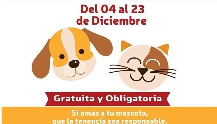 2.Flyer redes VACUNACION ANTIRRABICA 01