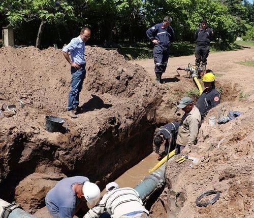 23244170 1881889475459961 3326256344964982180 n