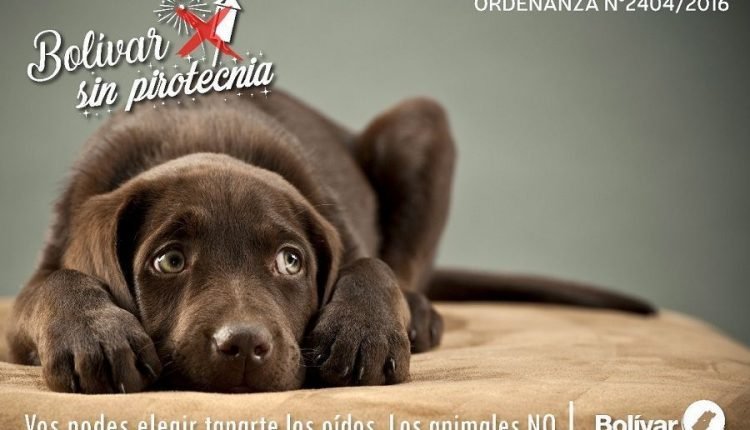 flyer no a la pirotecnia 1